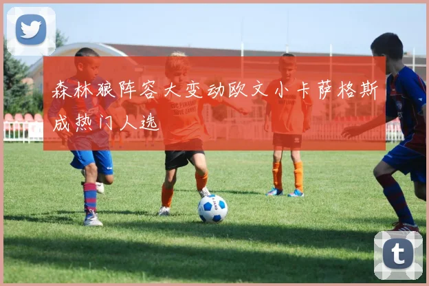 森林狼阵容大变动欧文小卡萨格斯成热门人选